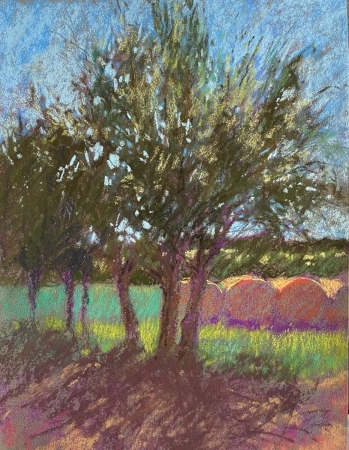 Early Morning in New Mexico by artist julia fletcher